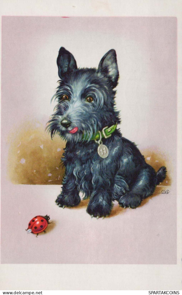 DOG Animals Vintage Postcard CPA #PKE781.GB - Dogs