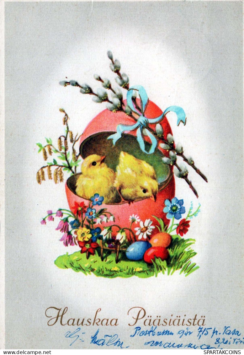 EASTER CHICKEN EGG Vintage Postcard CPSM #PBO768.GB - Pâques