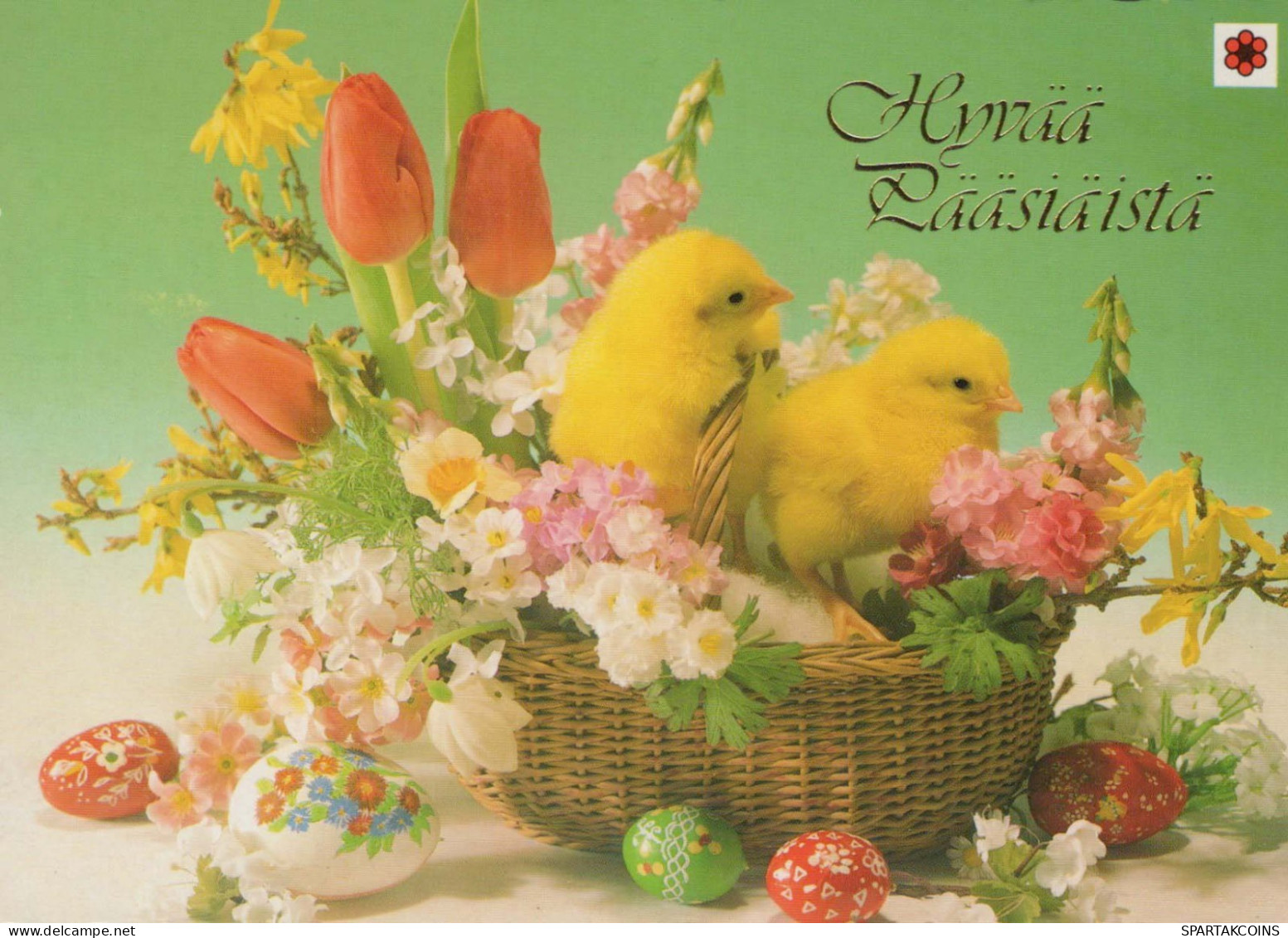 EASTER CHICKEN EGG Vintage Postcard CPSM #PBO896.GB - Easter