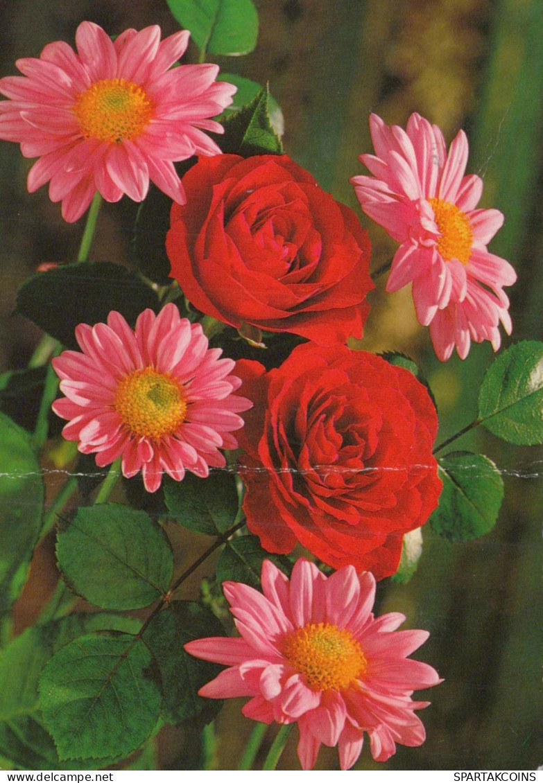 FLOWERS Vintage Postcard CPSM #PAS073.GB - Blumen