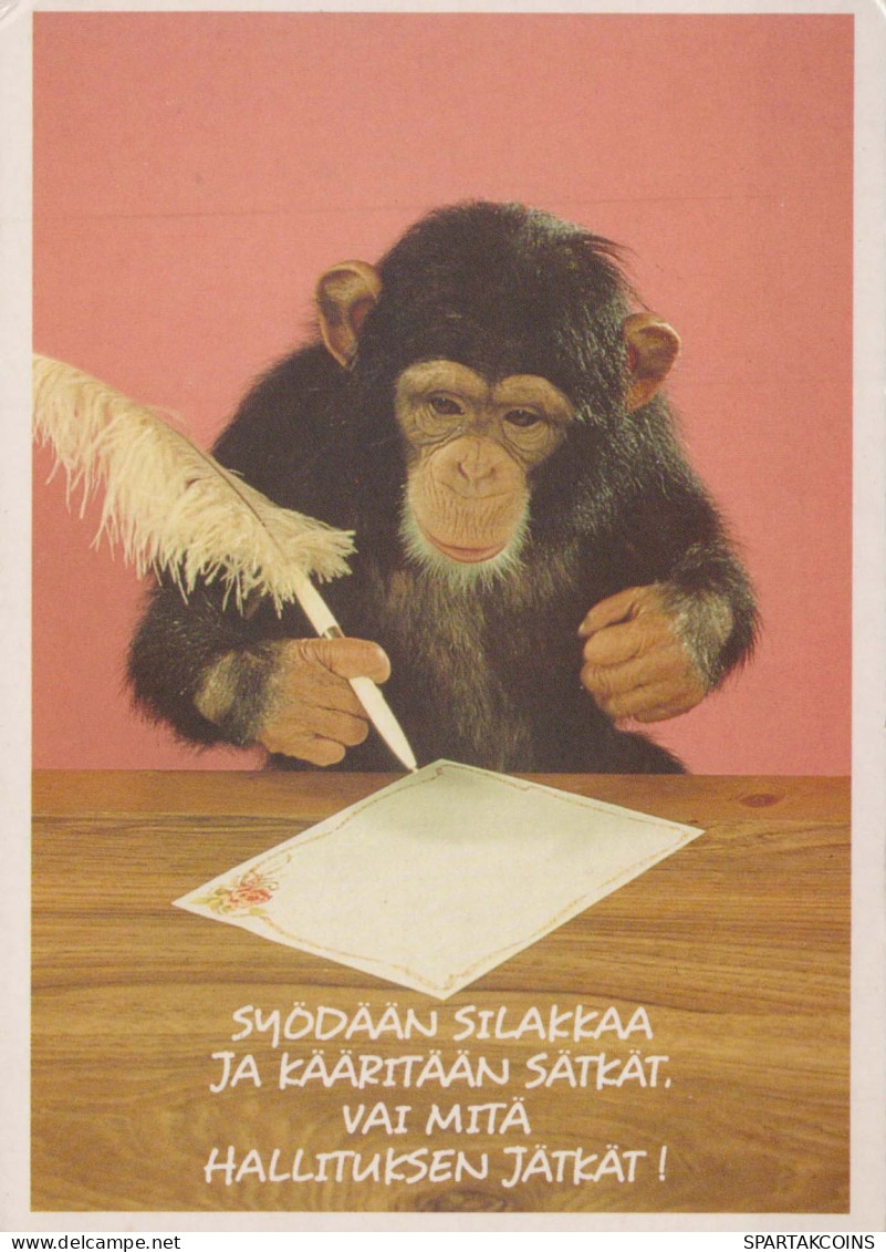 SCIMMIA Animale Vintage Cartolina CPSM #PBS006.IT - Scimmie