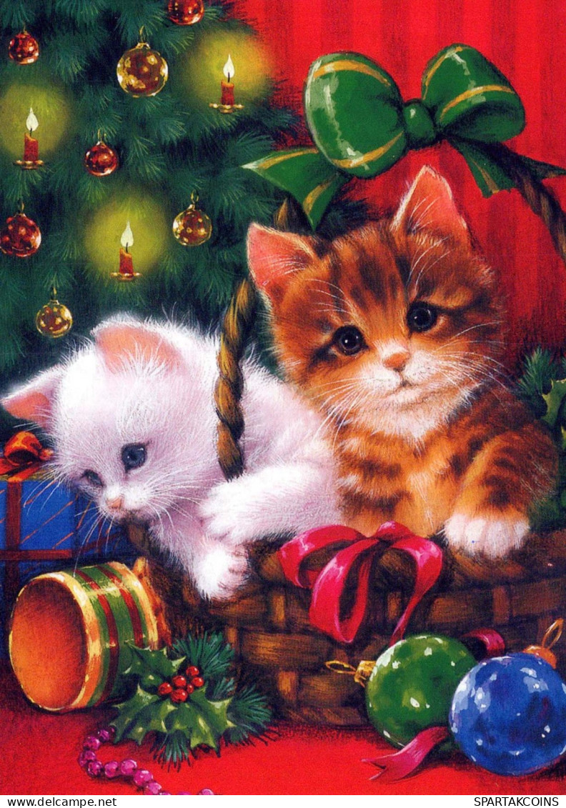 GATTO KITTY Animale Vintage Cartolina CPSM #PBQ881.IT - Cats