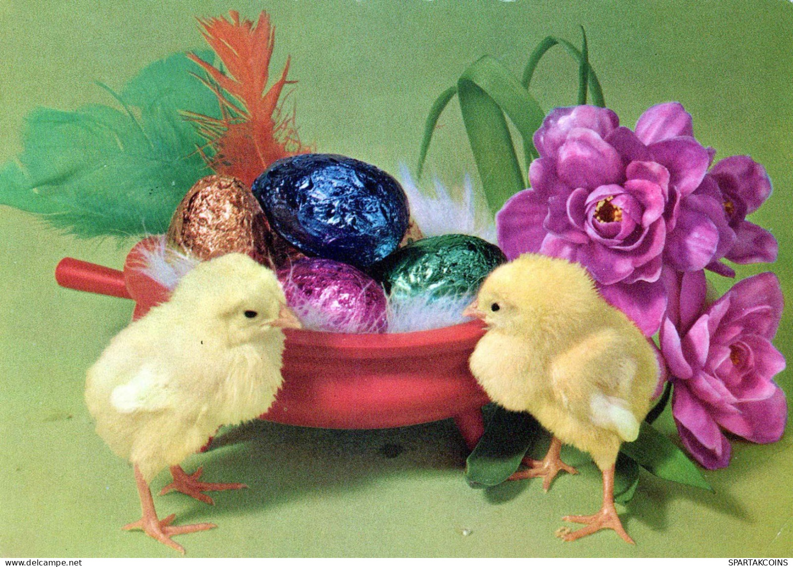 PASQUA POLLO UOVO Vintage Cartolina CPSM #PBO900.IT - Easter