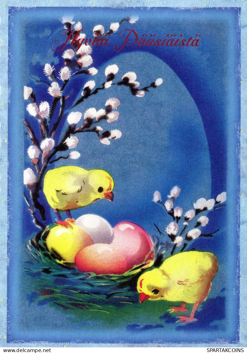PASQUA POLLO UOVO Vintage Cartolina CPSM #PBO650.IT - Easter