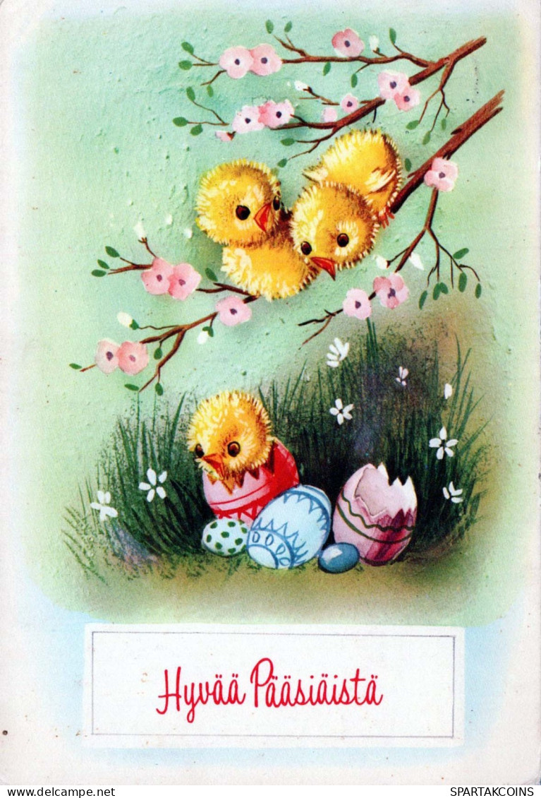 PASQUA POLLO UOVO Vintage Cartolina CPSM #PBO588.IT - Easter
