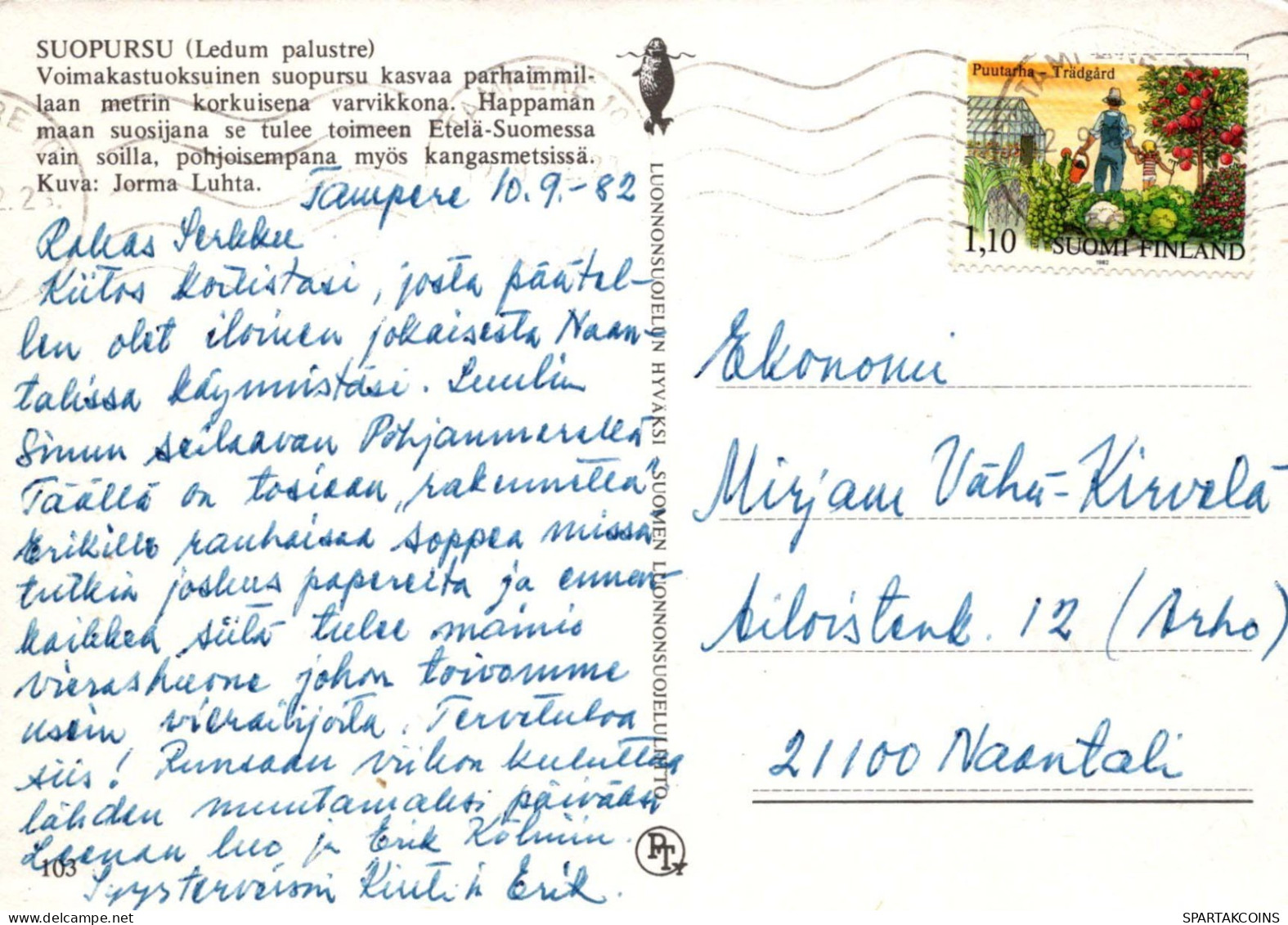 FIORI Vintage Cartolina CPSM #PAS437.IT - Fleurs