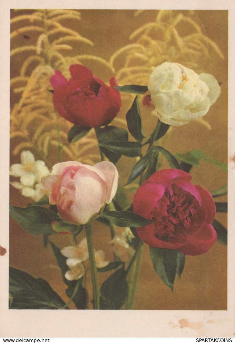 FIORI Vintage Cartolina CPSM #PAR356.IT - Flowers