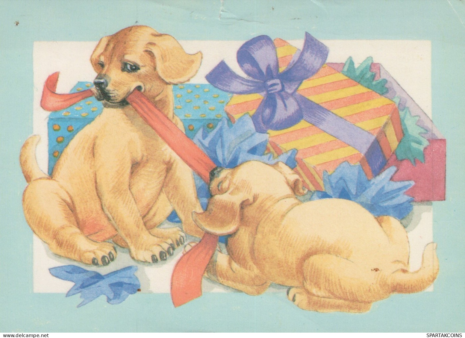 CANE Animale Vintage Cartolina CPSM #PAN664.IT - Chiens