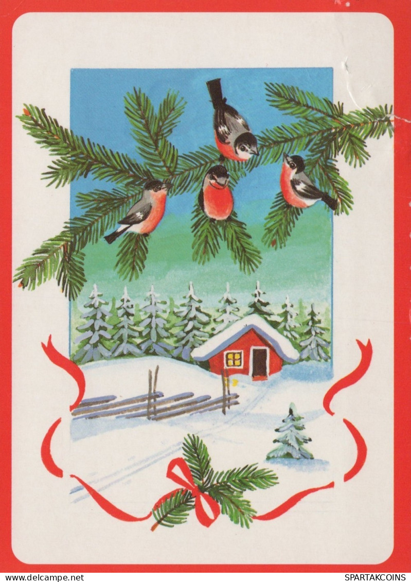 UCCELLO Animale Vintage Cartolina CPSM #PAM846.IT - Birds
