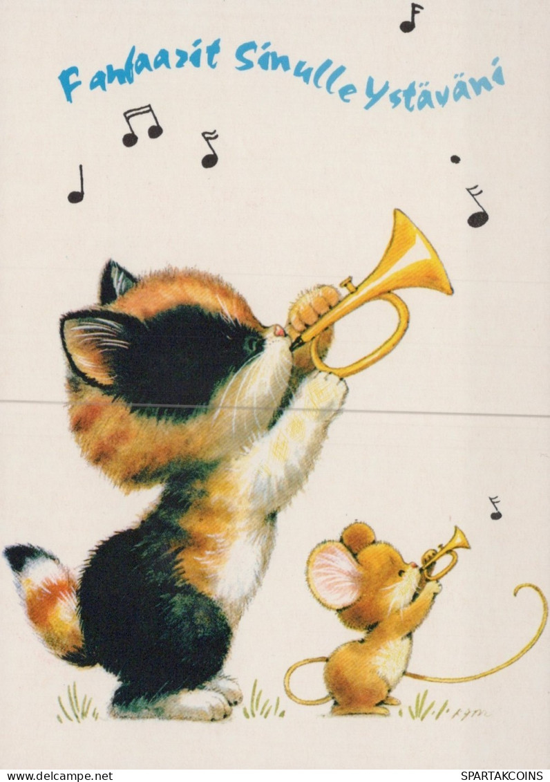 GATTO KITTY Animale Vintage Cartolina CPSM #PAM156.IT - Katten