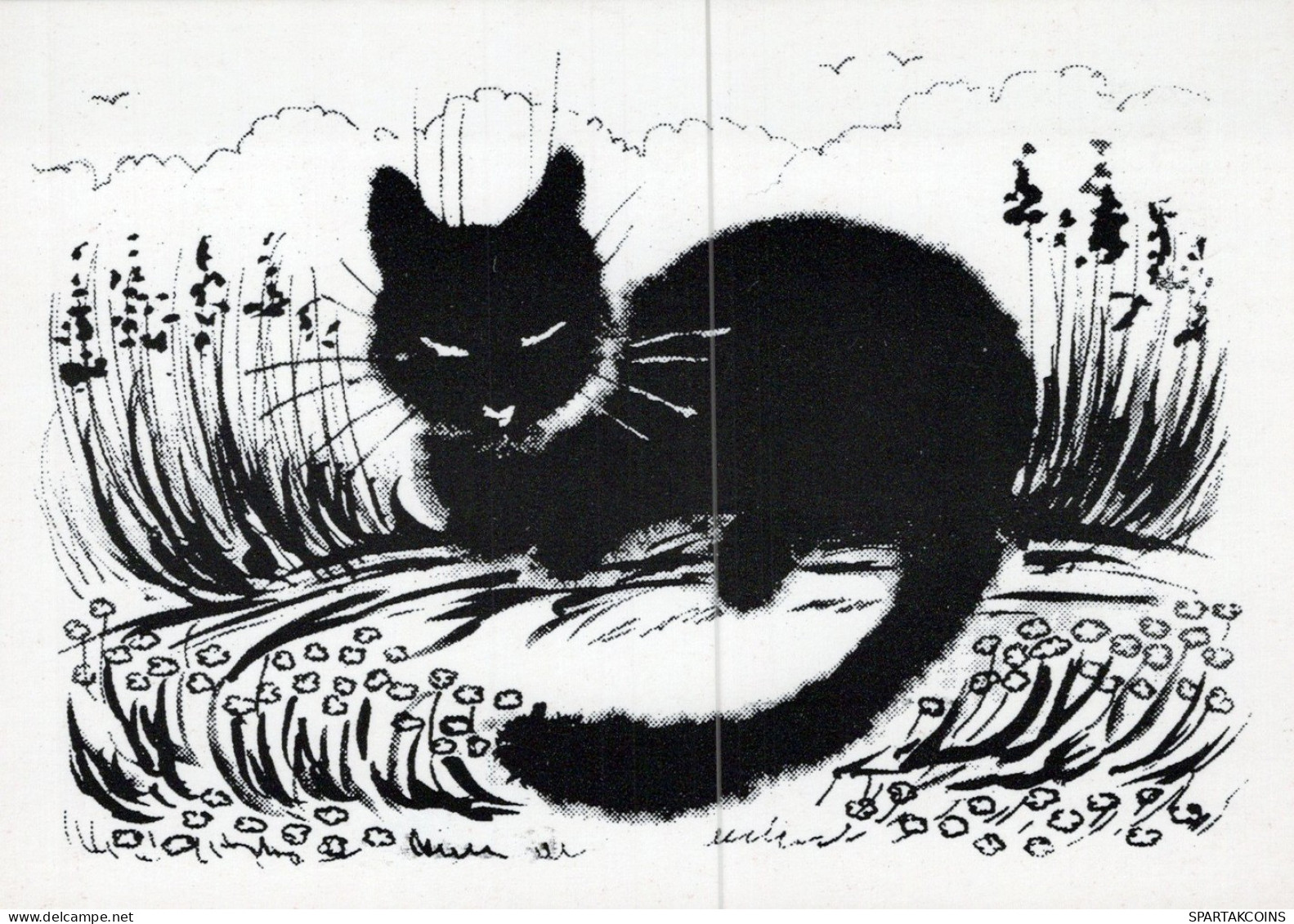 GATTO KITTY Animale Vintage Cartolina CPSM Unposted #PAM279.IT - Katten