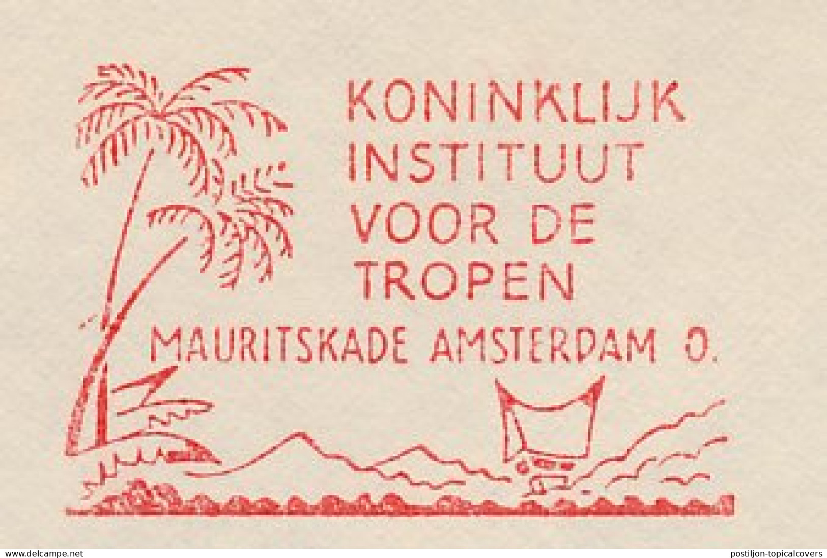 Meter Cover Netherlands 1954 - FR 1230 Royal Institute For The Tropics - Palm Tree - Alberi