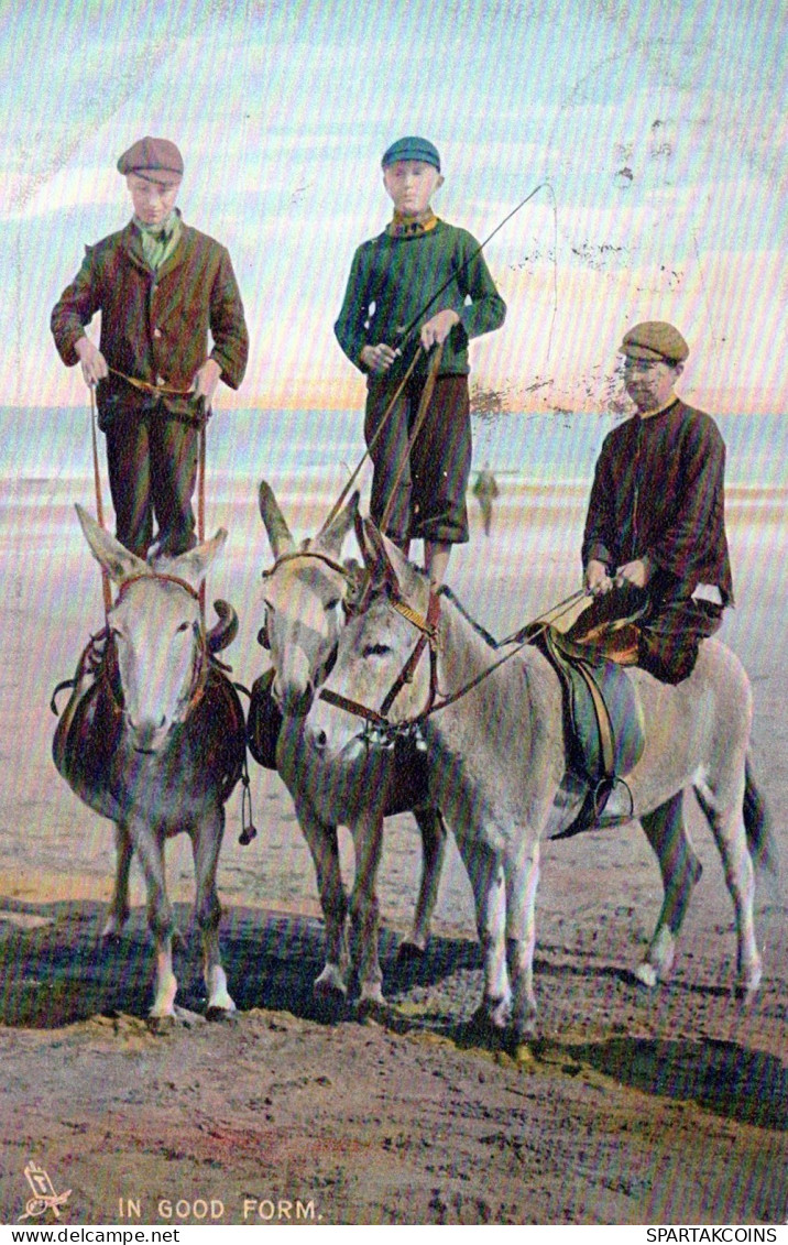 DONKEY Animals Vintage Antique Old CPA Postcard #PAA289.GB - Donkeys