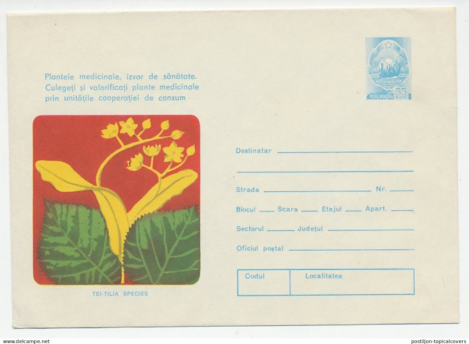 Postal Stationery Rumania 1974 Tei Tilia - Medicinal Plant - Other & Unclassified