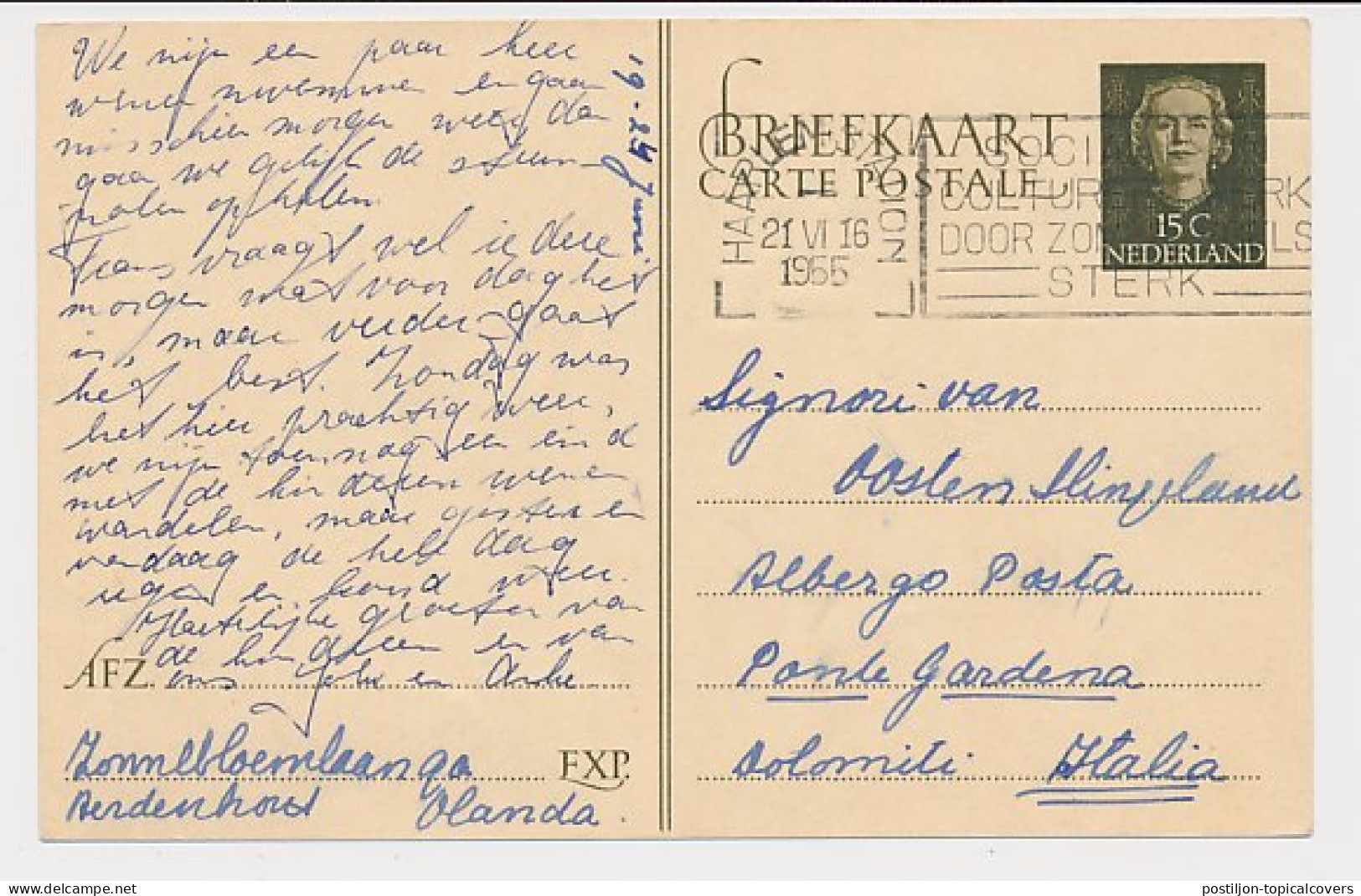 Briefkaart G. 311 Gaarlem - Solomite Italie 1955 - Ganzsachen