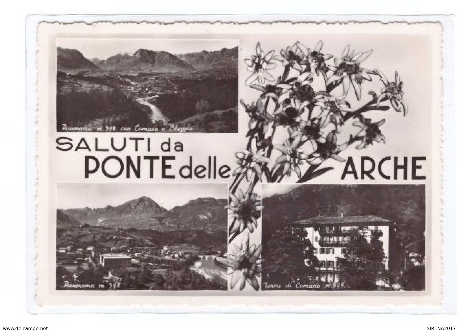 PONTE DELLE ARCHE - SALUTI - TRENTO - VIAGGIATA - Trento