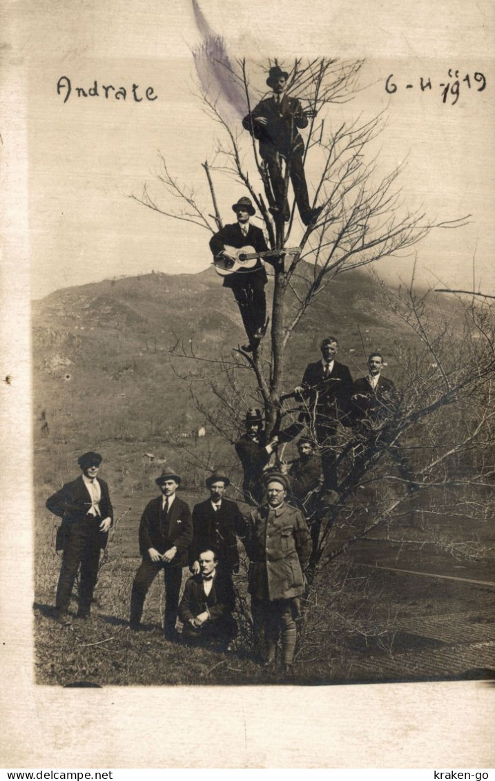 ANDRATE, Torino - Fotografica - "Albero Musicale" - NV - #070 - Otros & Sin Clasificación