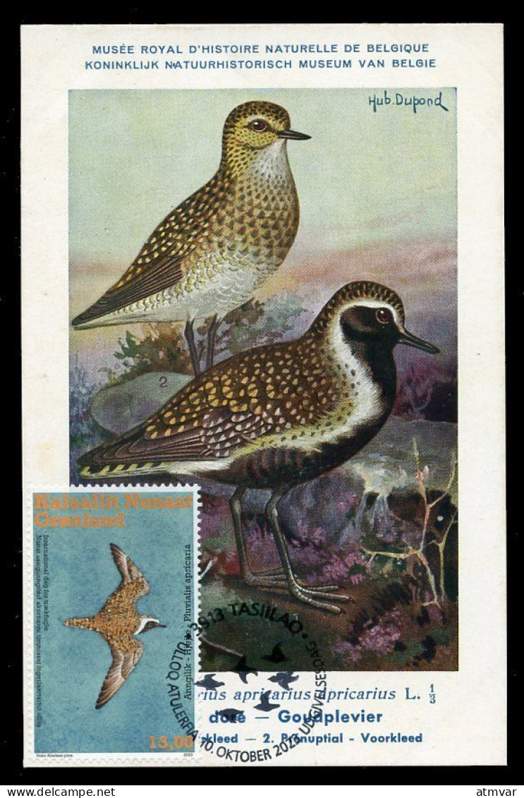 GREENLAND (2023) Carte Maximum Card - UN World Migratory Bird Day Golden Plover Pluvialis Apricaria Pluvier Doré Bird - Maximum Cards