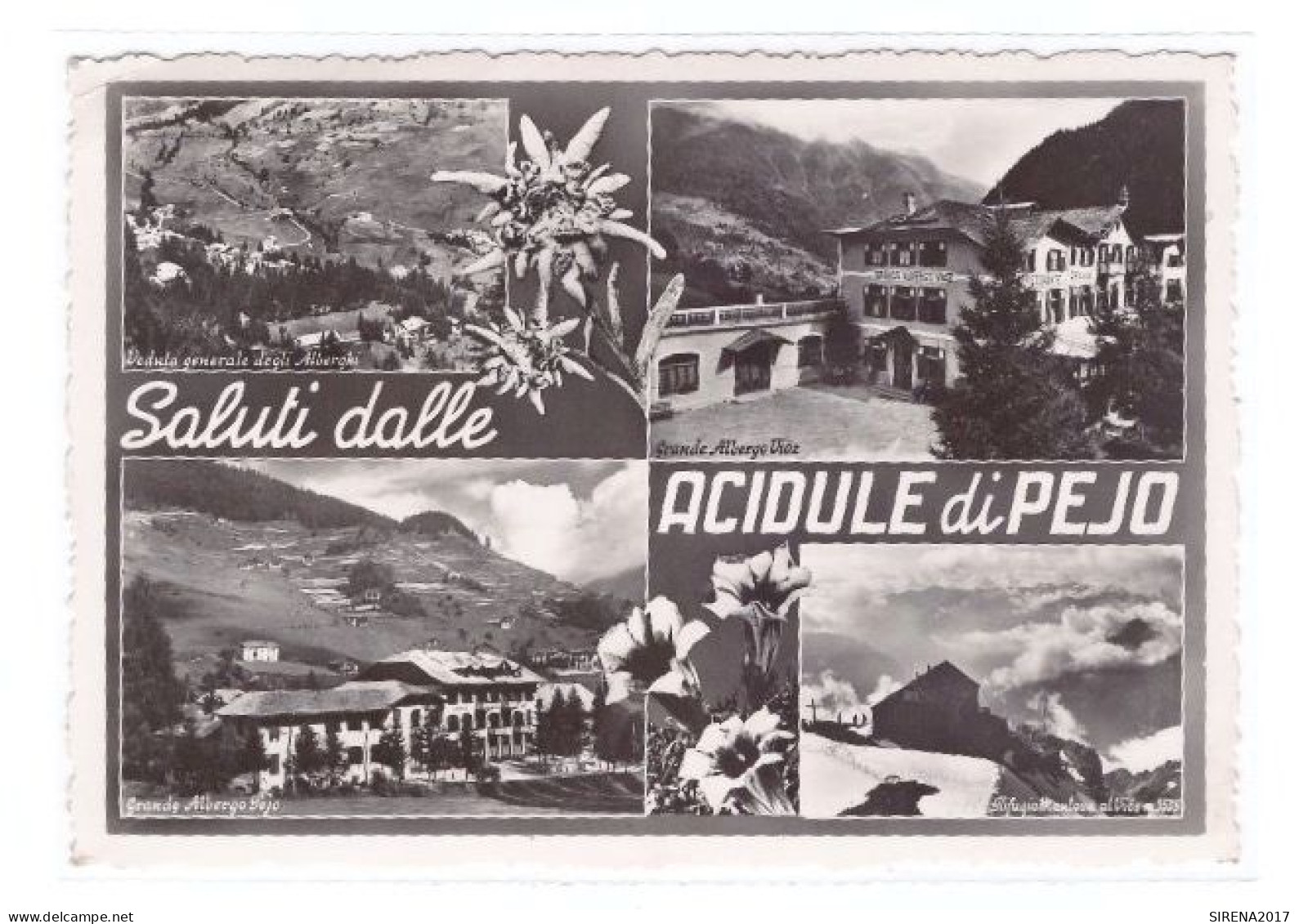 ACIDULE DI PEJO - SALUTI - TRENTO - VIAGGIATA - Trento