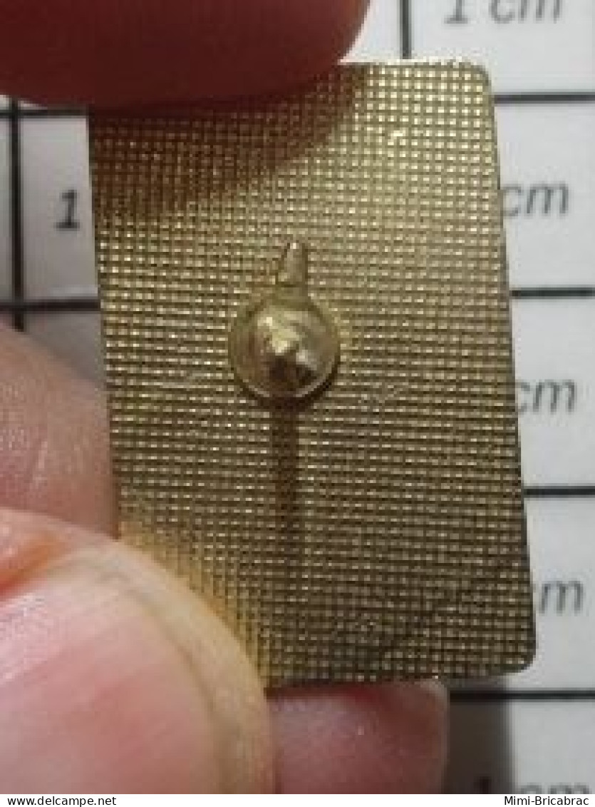 1818C Pin's Pins / Beau Et Rare / MARQUES / POINT PRO CARTE A JOUER GENRE TAROTS - Trademarks