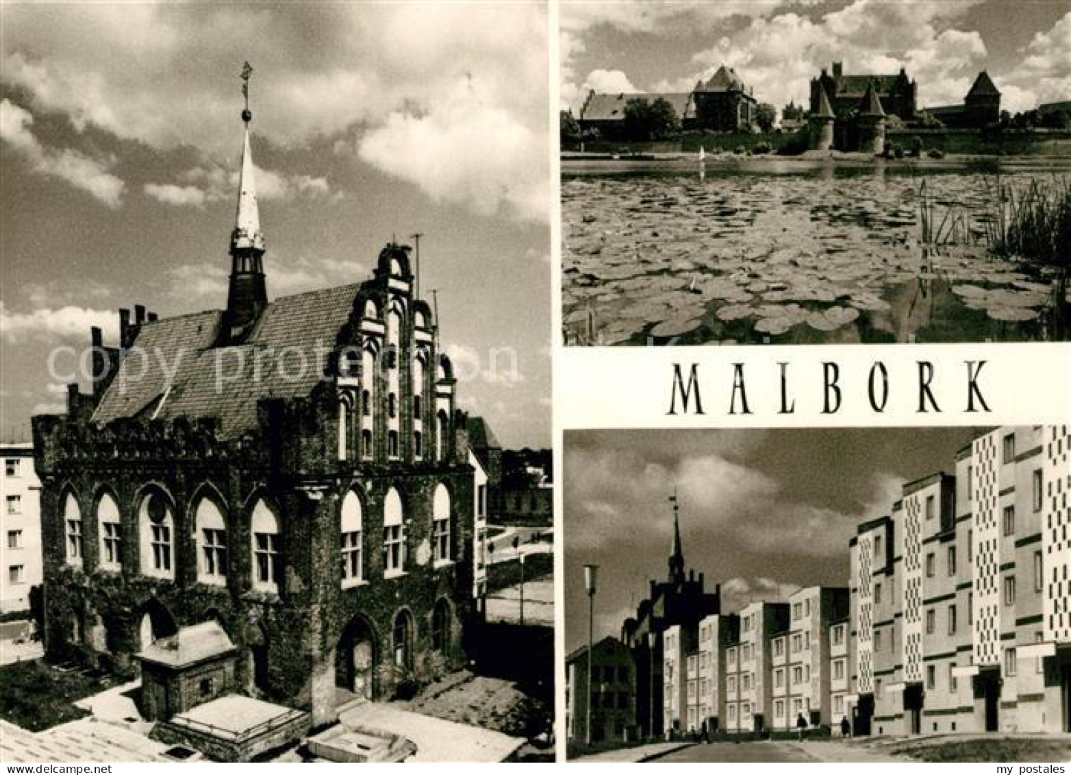73098278 Malbork  Malbork - Polonia