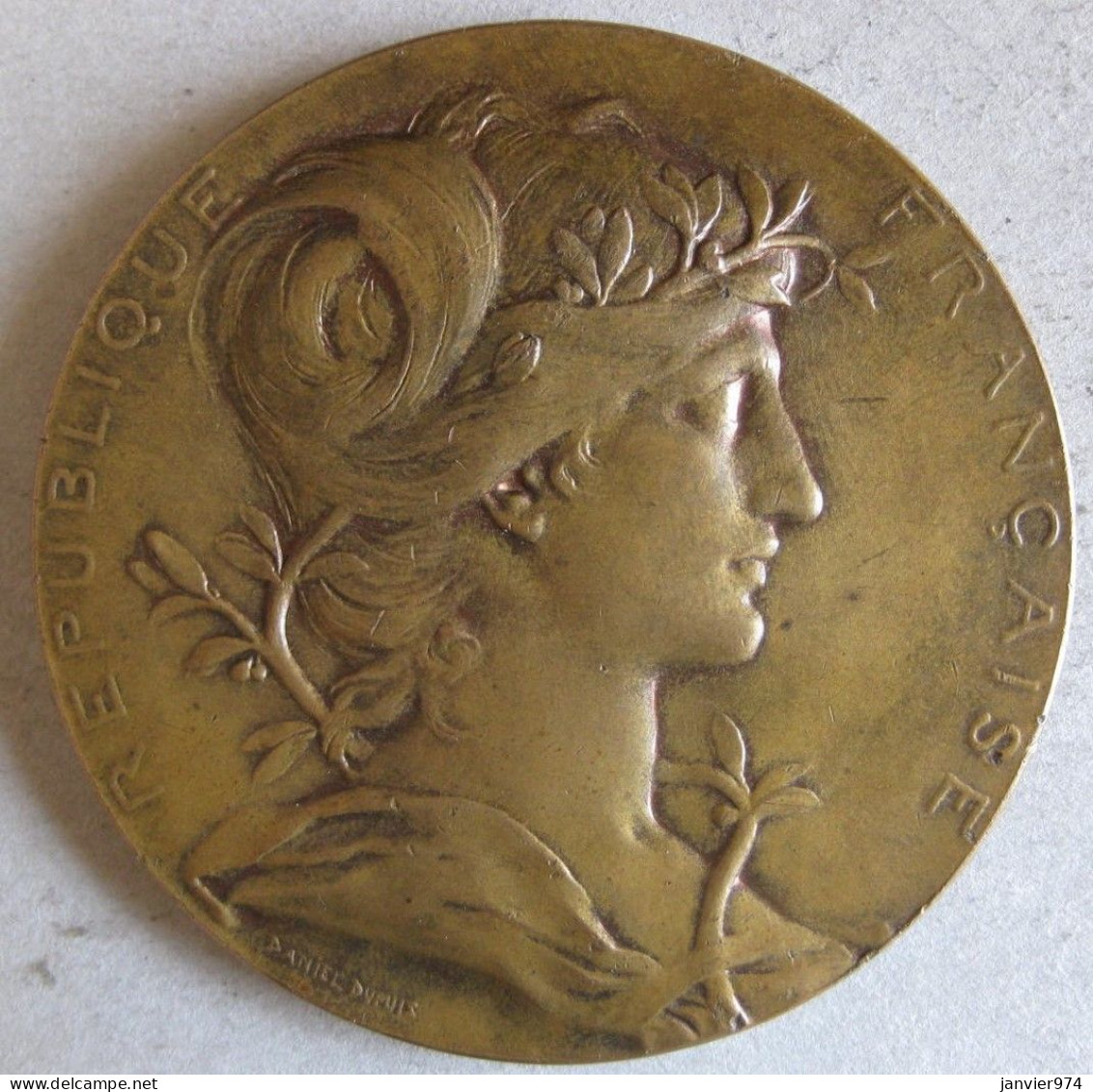 Medaille En Bronze Exposition Universelle De Paris 1889 Nu, Par Daniel Dupuis - Andere & Zonder Classificatie