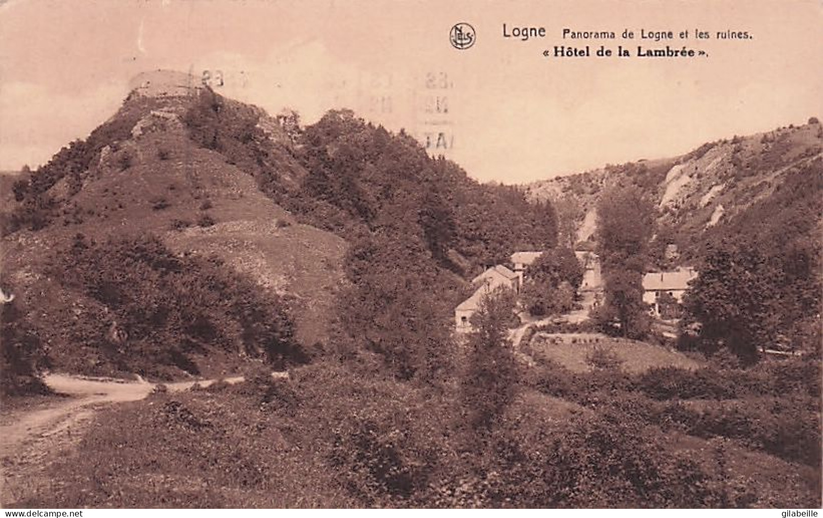 Durbuy - BOMAL S/OURTHE - Panorama De Logne Et Les Ruines - Hotel De La Lambrée - Durbuy