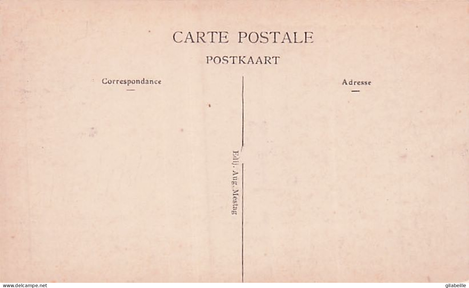 DENDERMONDE - TERMONDE - Les Ruines De Termonde - La Rue Des Bogards - Dendermonde