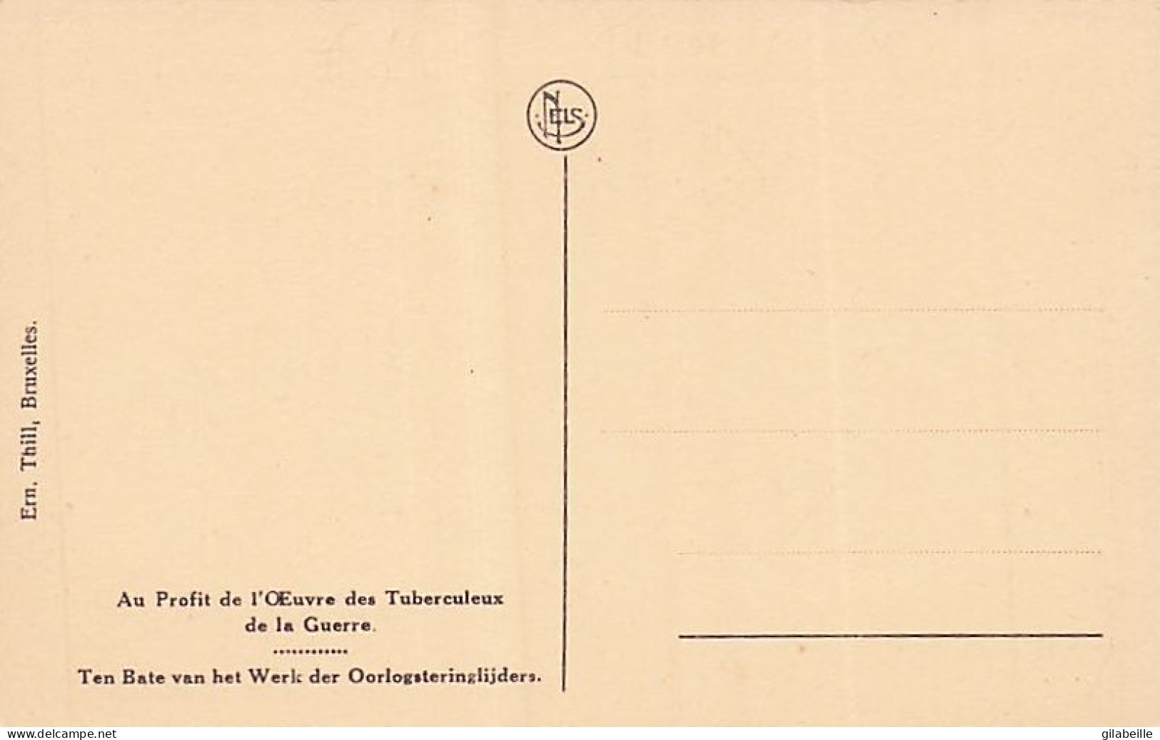 DENDERMONDE - TERMONDE - Les Ruines De Termonde - La Dendre (Usines Roos, Geerinckx Et De Naeyer) - Dendermonde