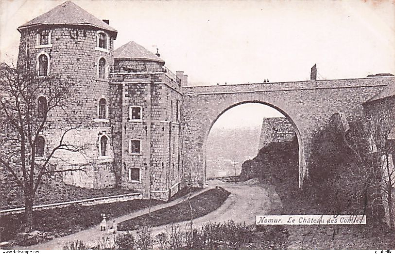 NAMUR - Le Chateau Des Comtes - Namur