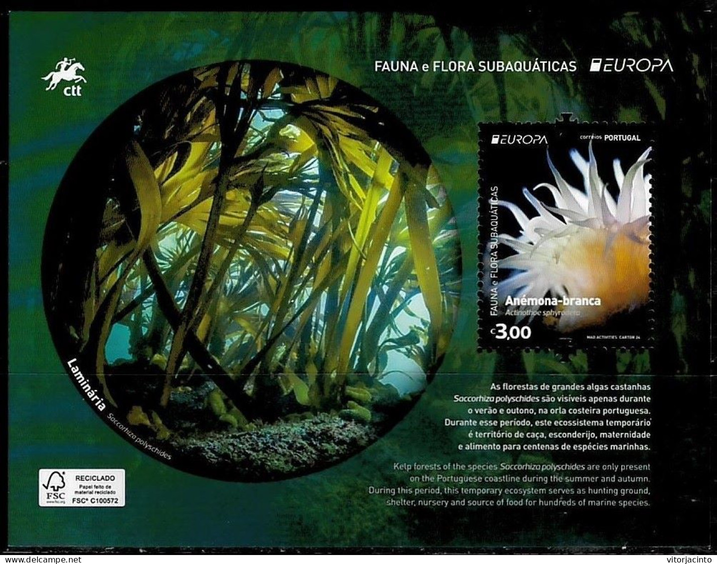 PORTUGAL (Continental) - EUROPA - Underwater Fauna And Flora - Date Of Issue: 2024-05-06 (Souvenir Sheet) - 2024