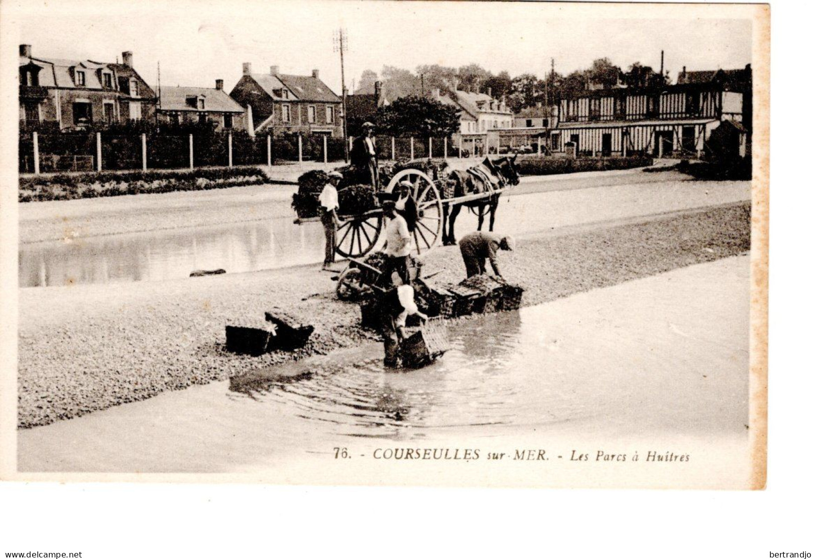 Courseulles Sur Mer / Parcs à Huitres - Courseulles-sur-Mer