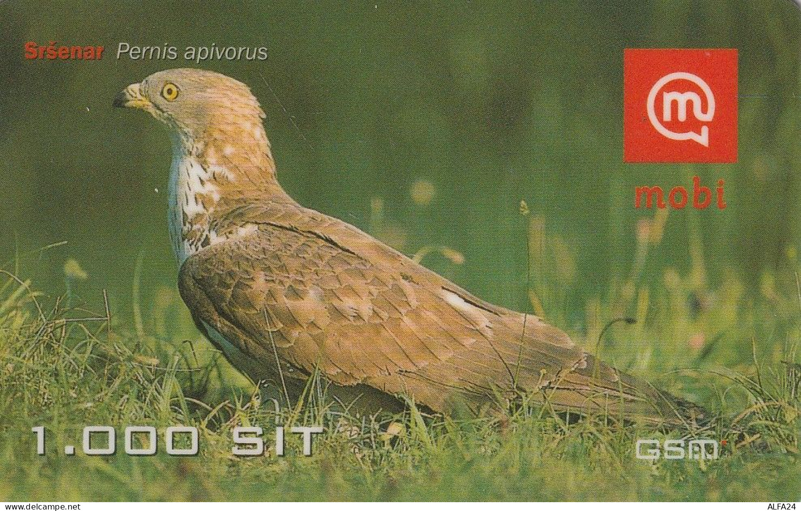 PREPAID PHONE CARD SLOVENIA  (CZ2491 - Slovenië