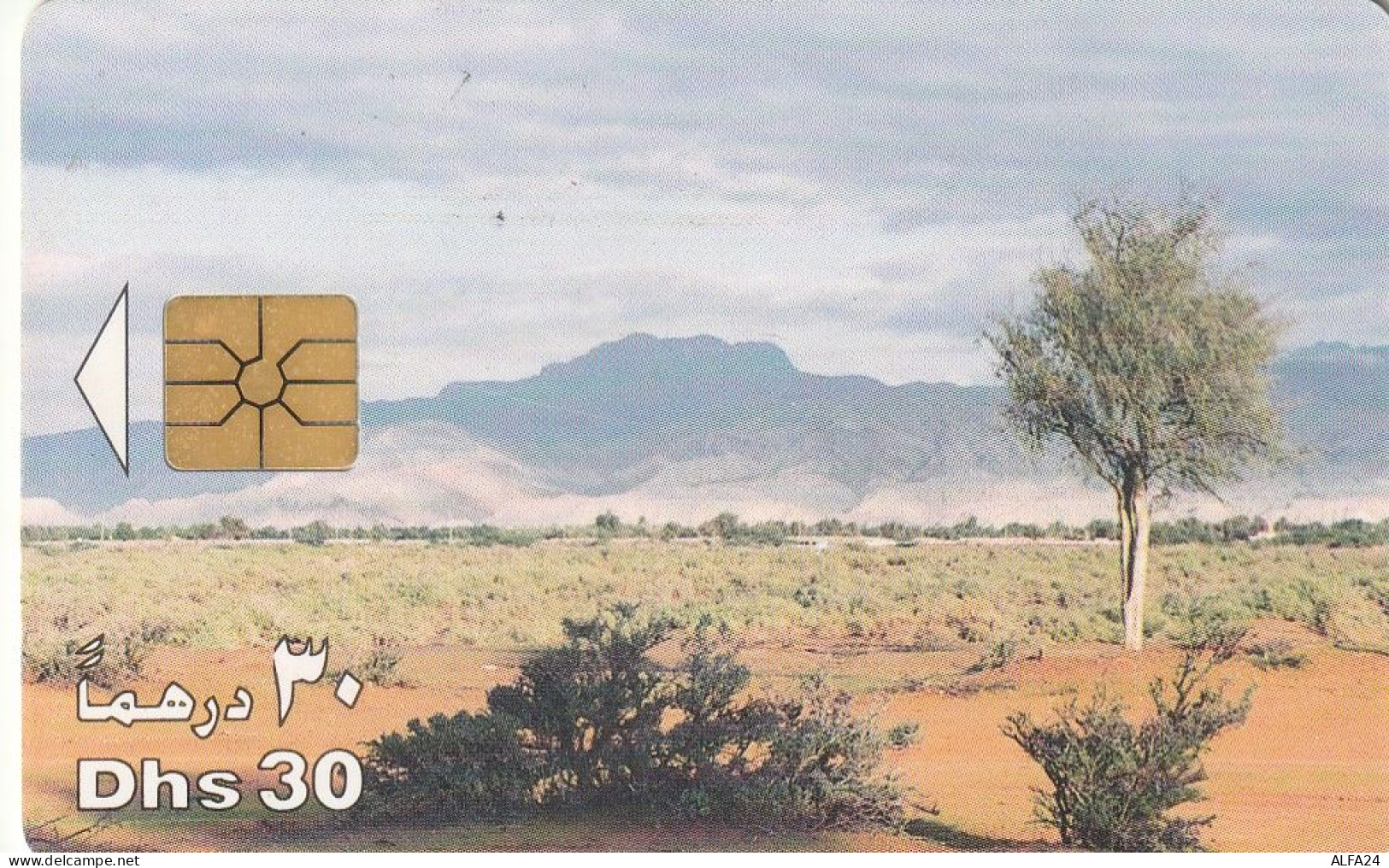 PHONE CARD EMIRATI ARABI  (CZ2430 - Emirats Arabes Unis