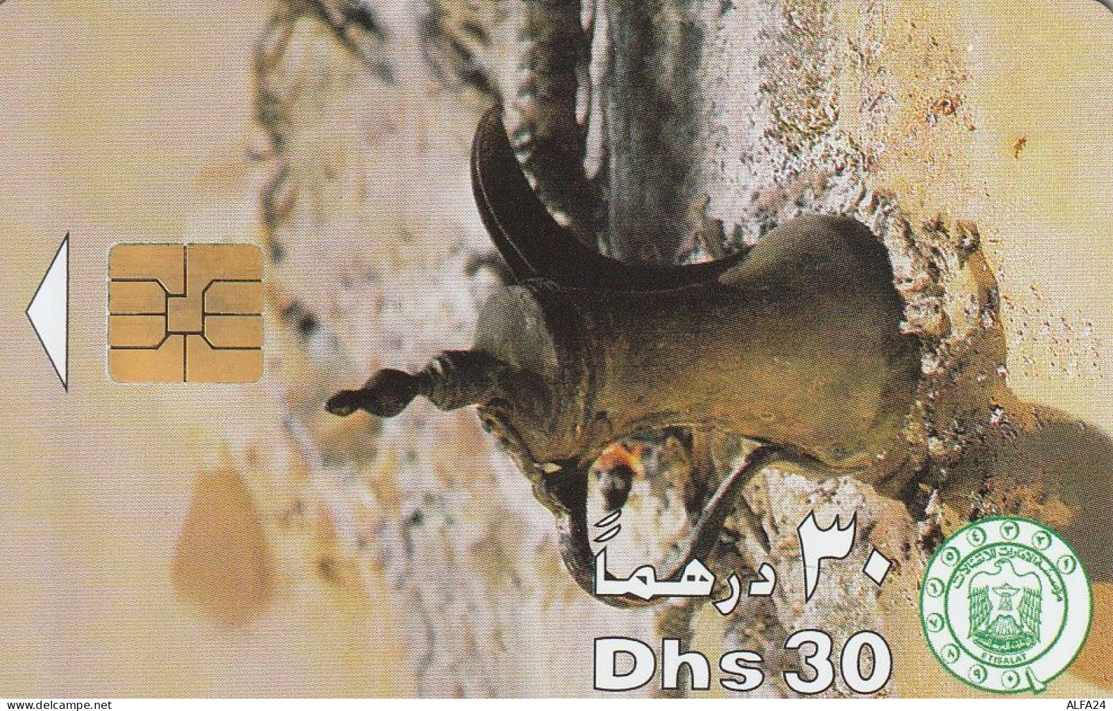 PHONE CARD EMIRATI ARABI  (CZ2405 - Verenigde Arabische Emiraten
