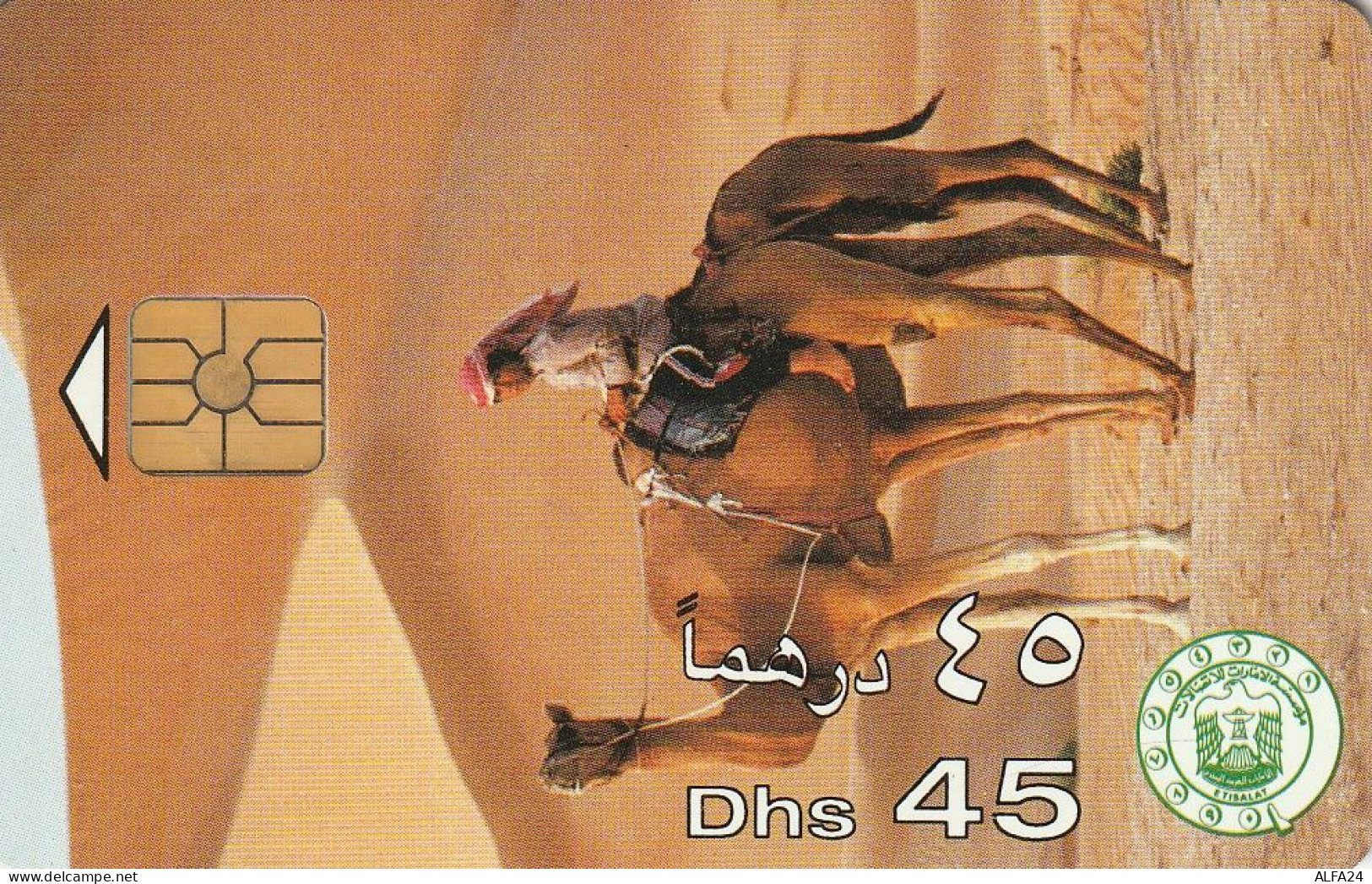 PHONE CARD EMIRATI ARABI  (CZ2407 - Ver. Arab. Emirate