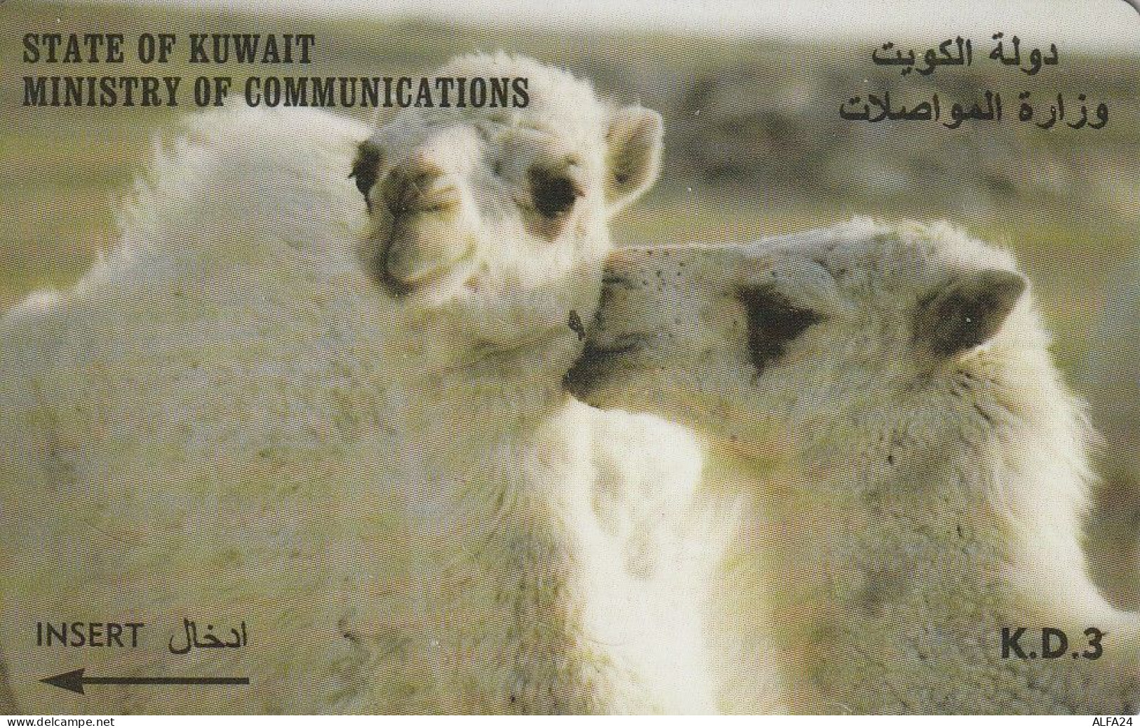 PHONE CARD KUWAIT  (CZ2363 - Koeweit