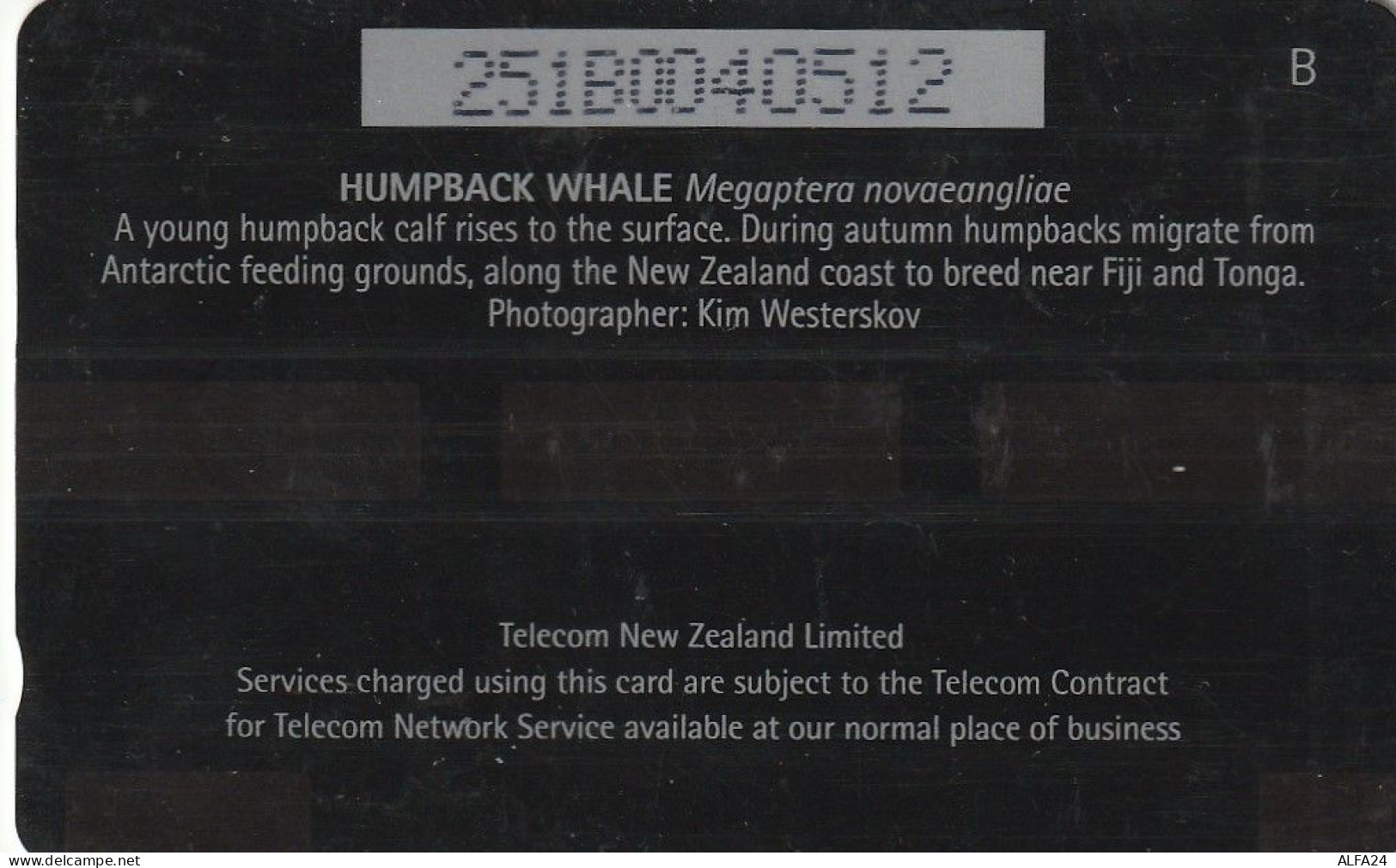 PHONE CARD NUOVA ZELANDA  (CZ2348 - Nouvelle-Zélande