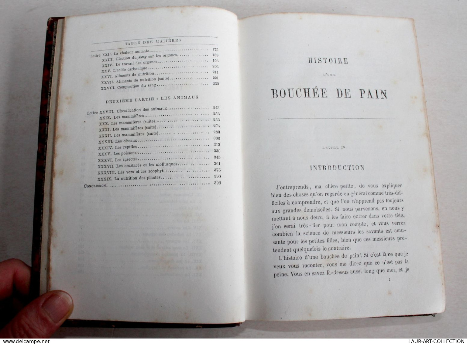 HISTOIRE D'UNE BOUCHEE DE PAIN LETTRES A UNE PETITE FILLE Par MACE, HETZEL DENTU, LIVRE ANCIEN XIXe SIECLE (2204.64) - 1801-1900