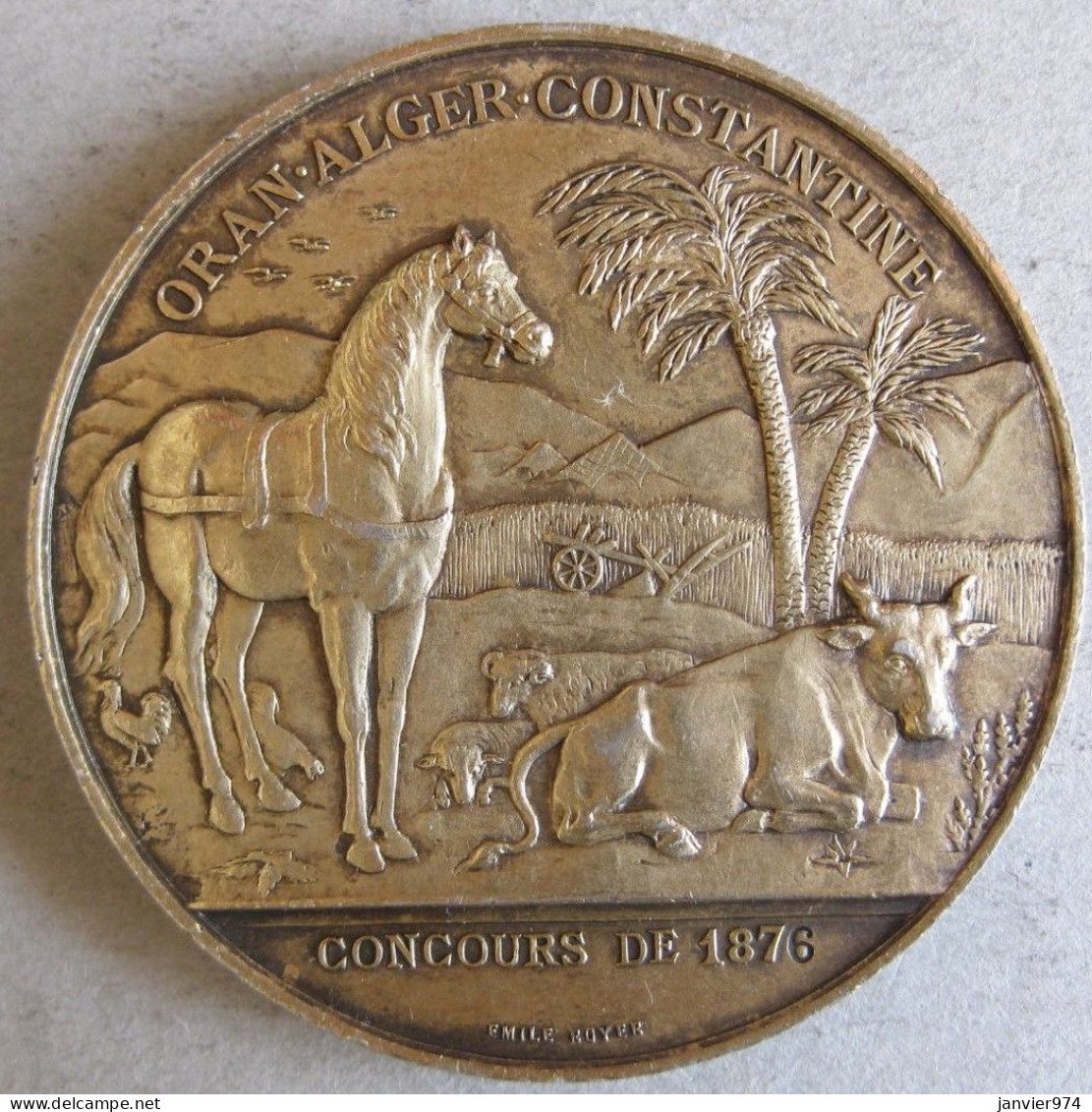 Médaille Coloniale En Argent Vermeil Oran, Alger, Constantine, Concours 1876 Algerie Par. E .ROYER - Otros & Sin Clasificación