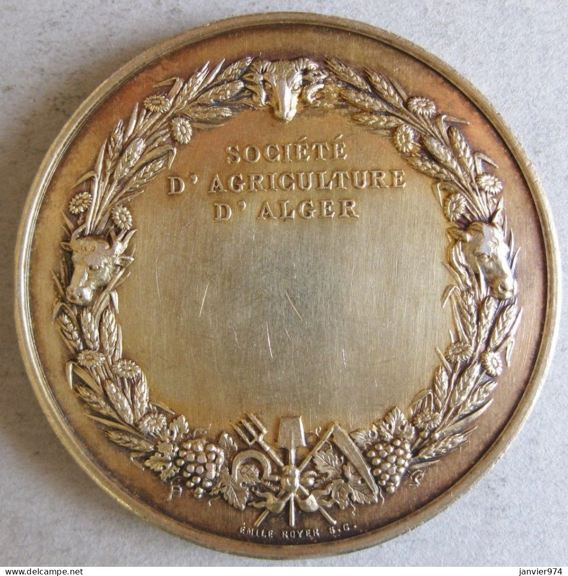 Médaille Coloniale En Argent Vermeil Oran, Alger, Constantine, Concours 1876 Algerie Par. E .ROYER - Autres & Non Classés