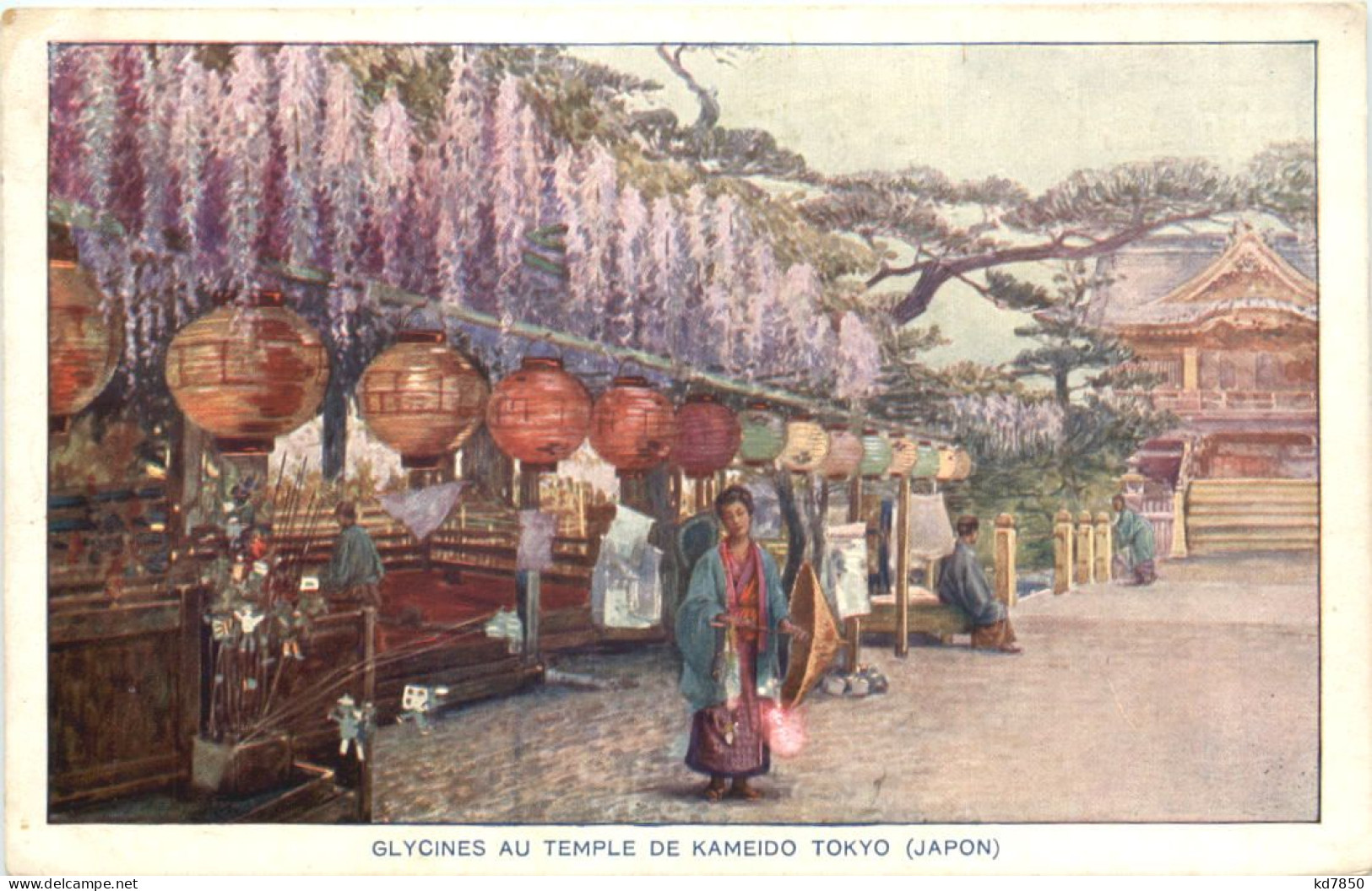 Japan - Glycines Au Temple De Kameido Tokyo - Tokio