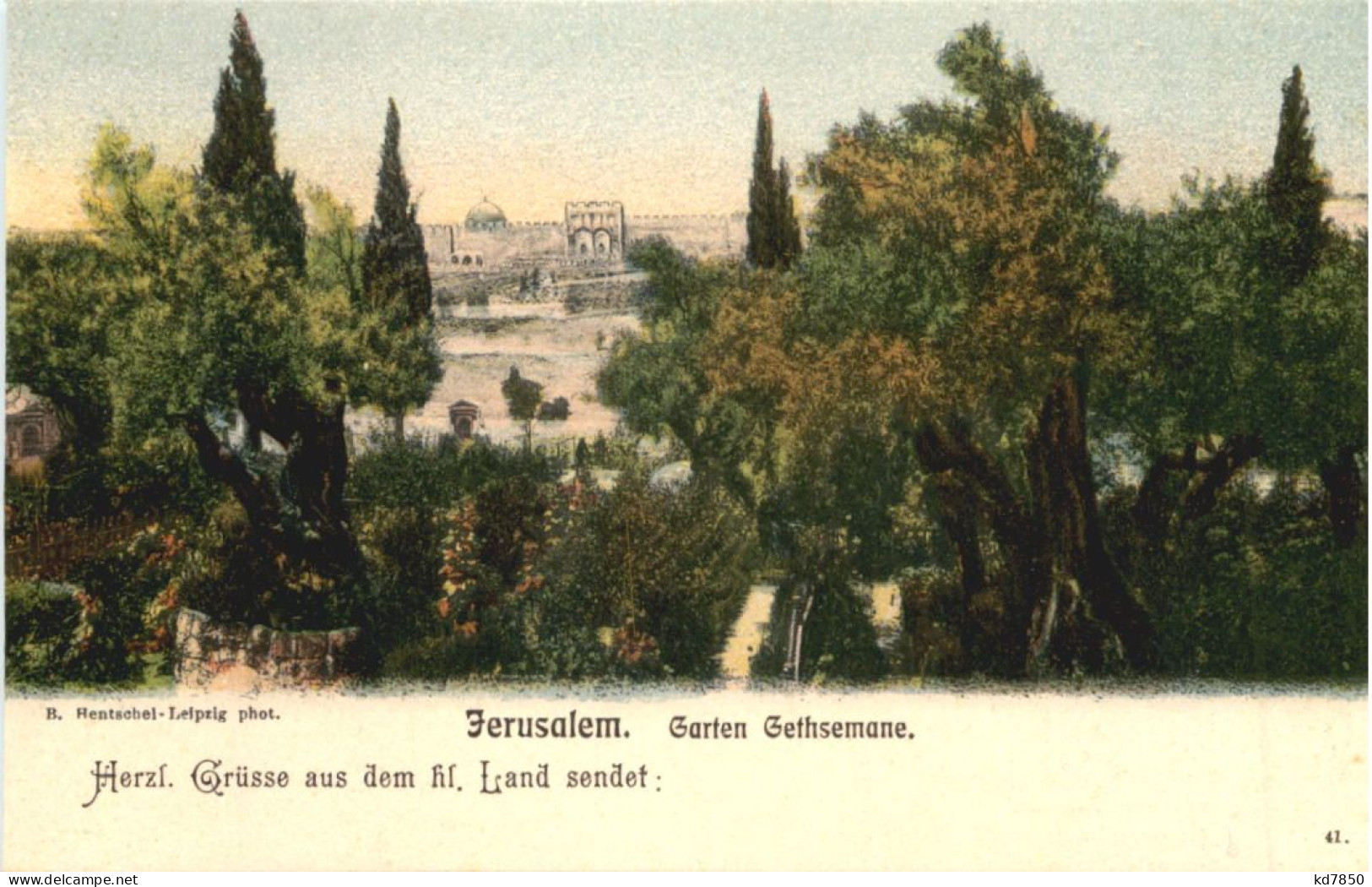 Jerusalem - Garten Gethsemane - Württ. Pilgerfahrt 1904 - Palästina