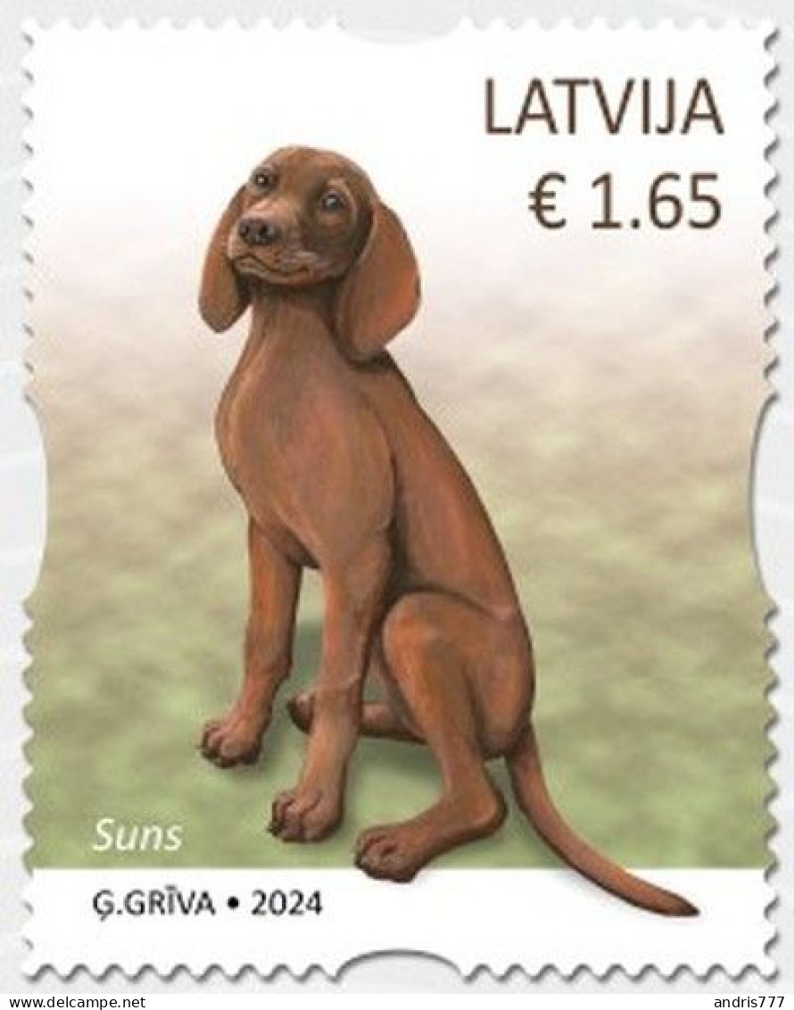 Latvia Lettland Lettonie 2024 (01-1) Pets - Dog - Latvia