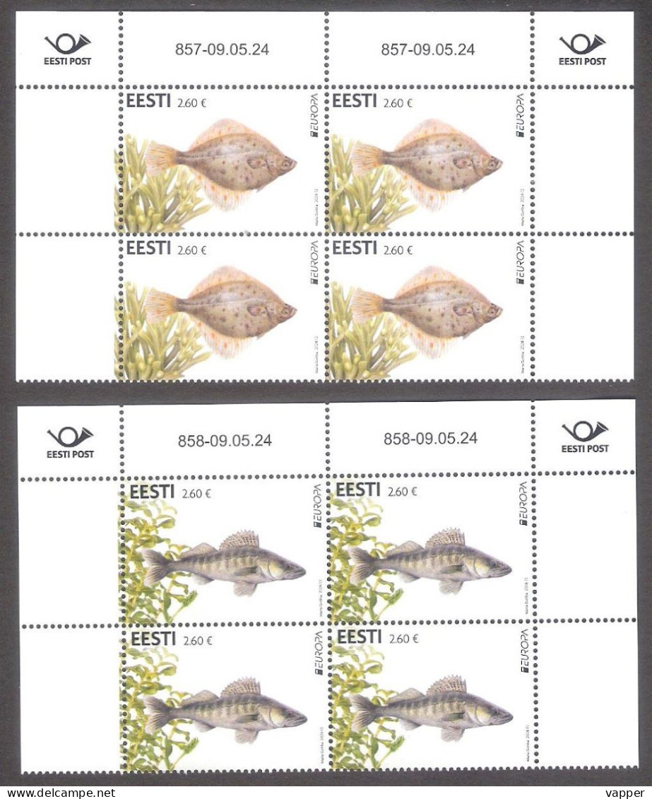 Europa – Underwater Fauna Fish And Flora 2024 Estonia MNH Stamps Blocks Of 4 Mi 1105-6 - Estonia