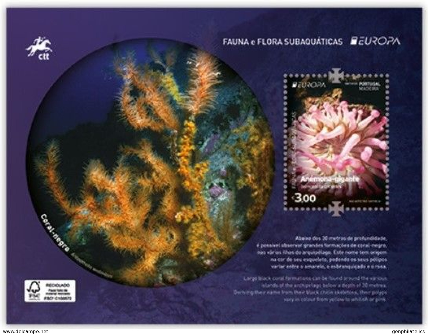 PORTUGAL (Madeira) 2024 Europa CEPT. Underwater Fauna & Flora - Fine S/S MNH - Madère