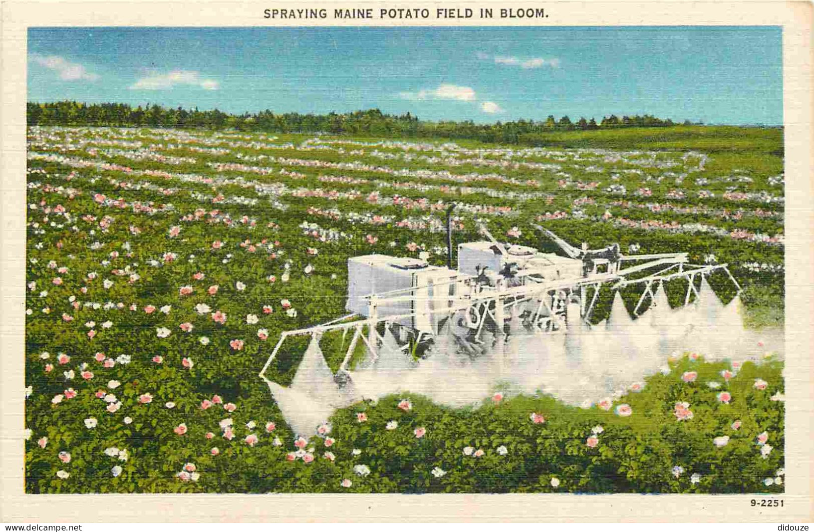 Etats Unis - Agriculture - Spraying Maine Potato Field In Bloom - Machine Agricole - Animée - Colorisée - CPA - Voir Sca - Andere & Zonder Classificatie
