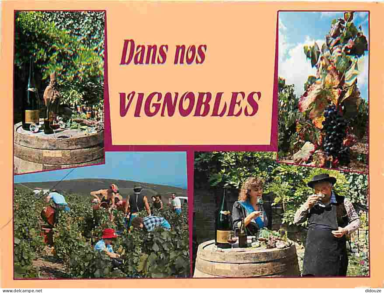 Vignes - Dans Nos Vignobles - Multivues - Vendanges - Raisins - Vin - CPM - Voir Scans Recto-Verso - Wijnbouw