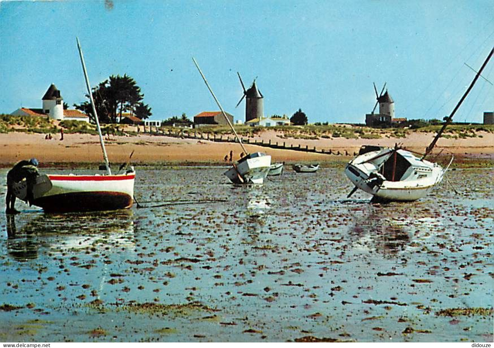 85 - Ile De Noirmoutier - La Guérinière - Les Moulins Et La Plage - CPM - Voir Scans Recto-Verso - Ile De Noirmoutier