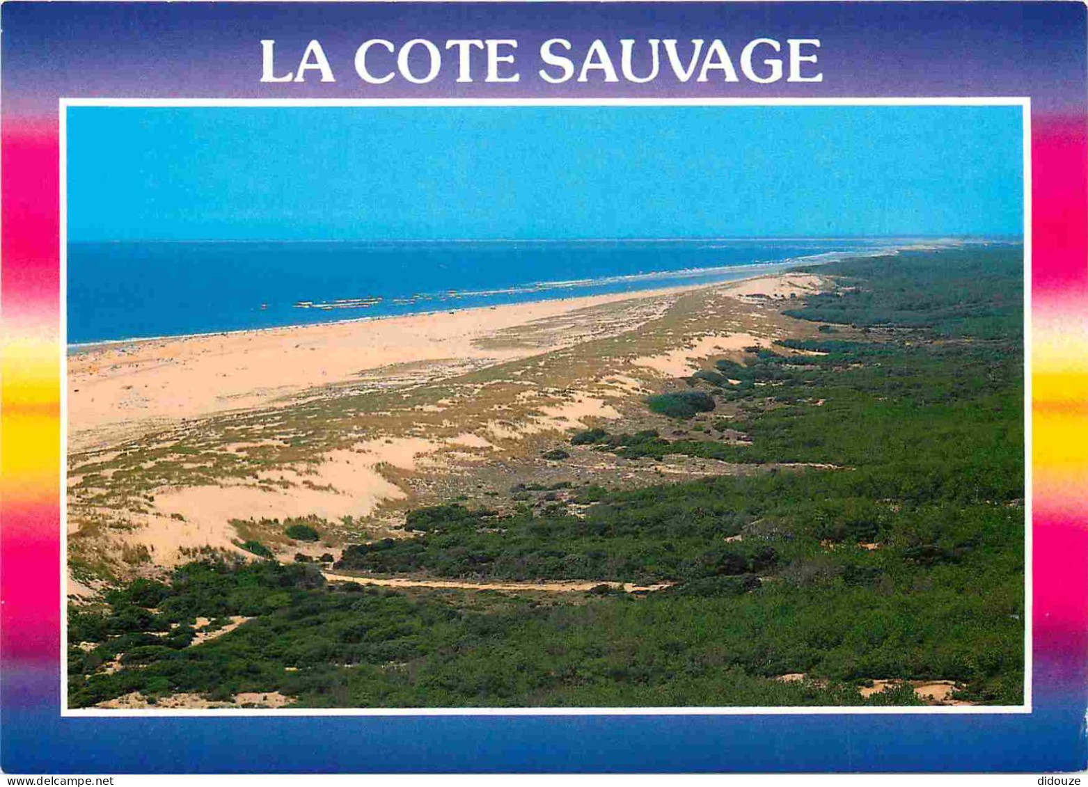 17 - Charente Maritime - La Coubre - Vue D'ensemble De La Plage De La Cote Sauvage Pris Depuis Le Phare De La Coubre - C - Sonstige & Ohne Zuordnung